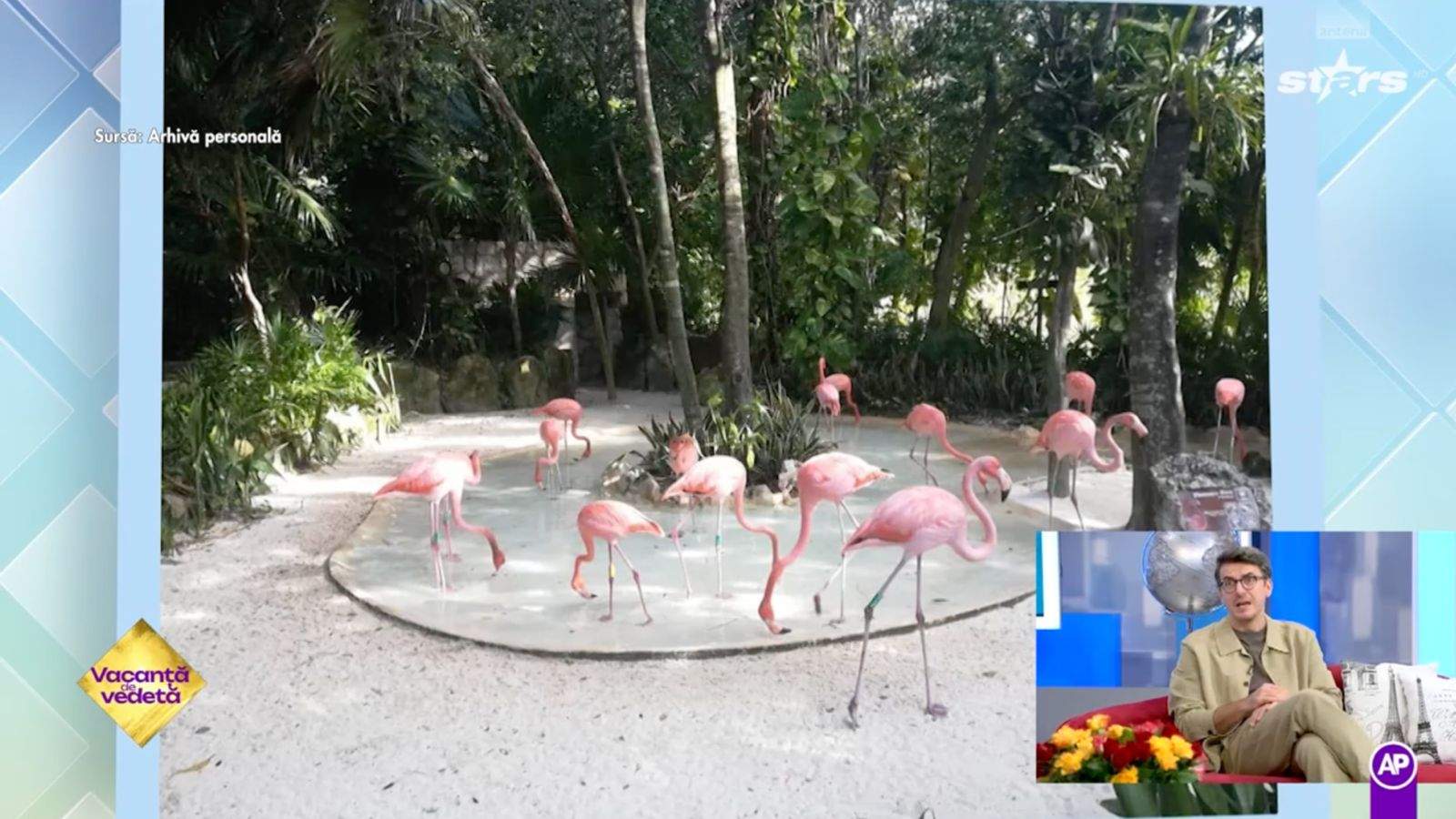 Flamingo, filmați de Alexandru Ion