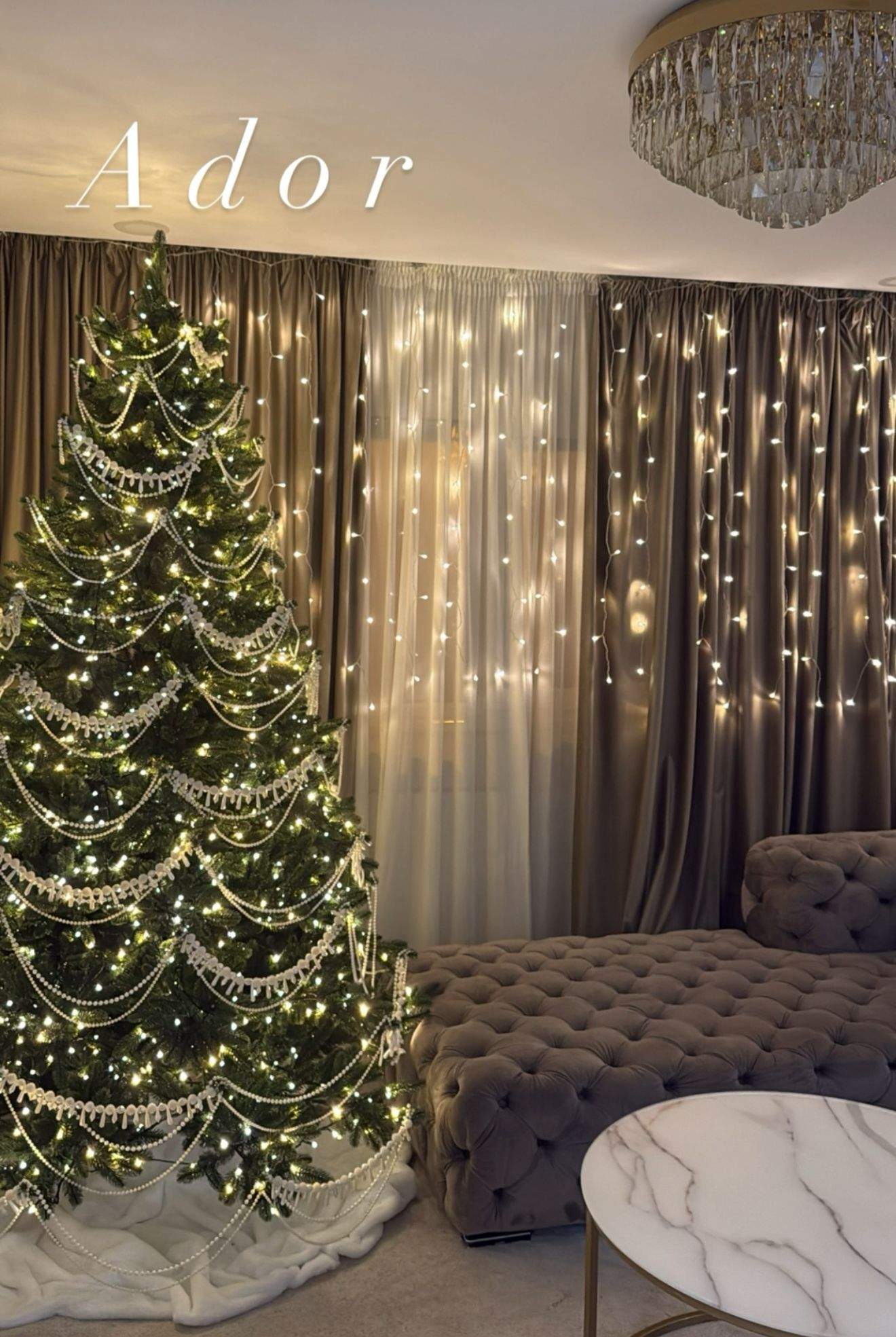 Bradul Larisei Udilă