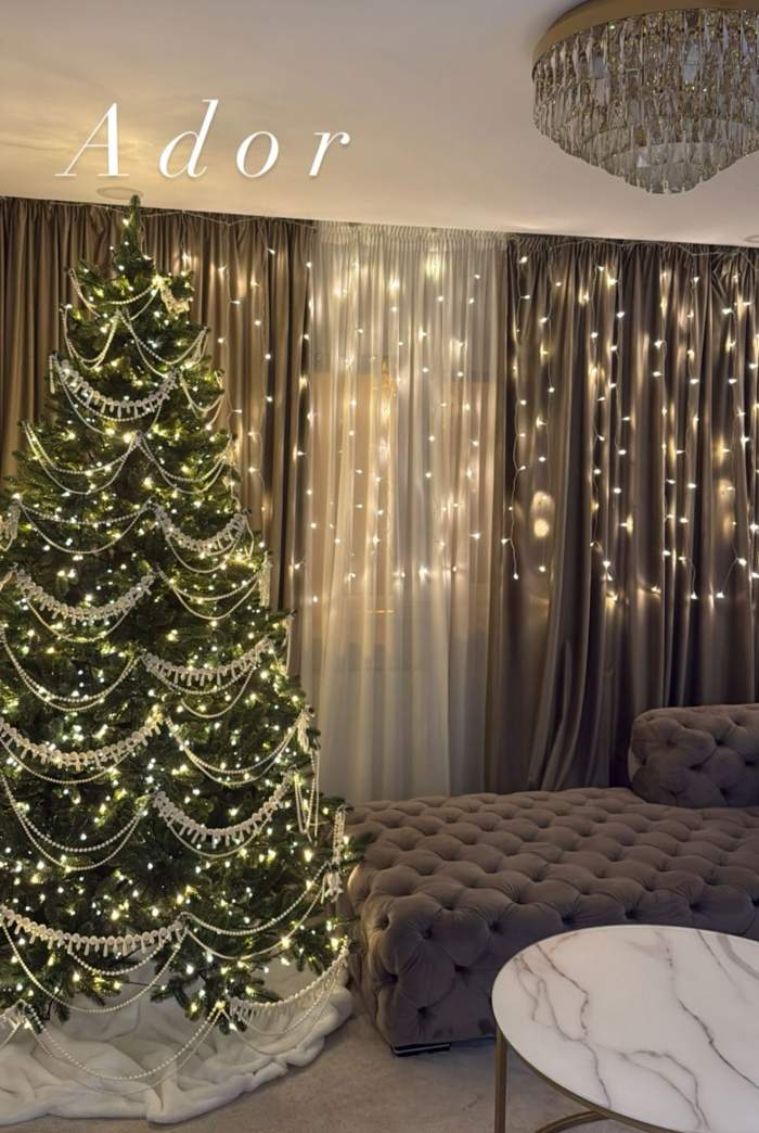 Bradul Larisei Udilă