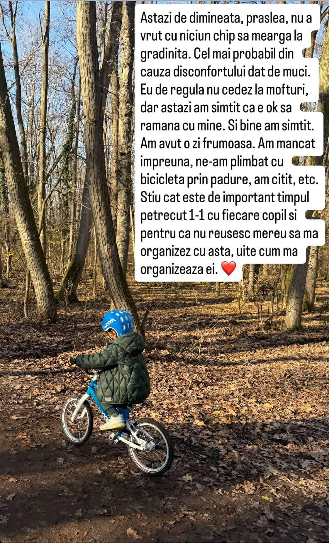 mesajul Adelei Popescu