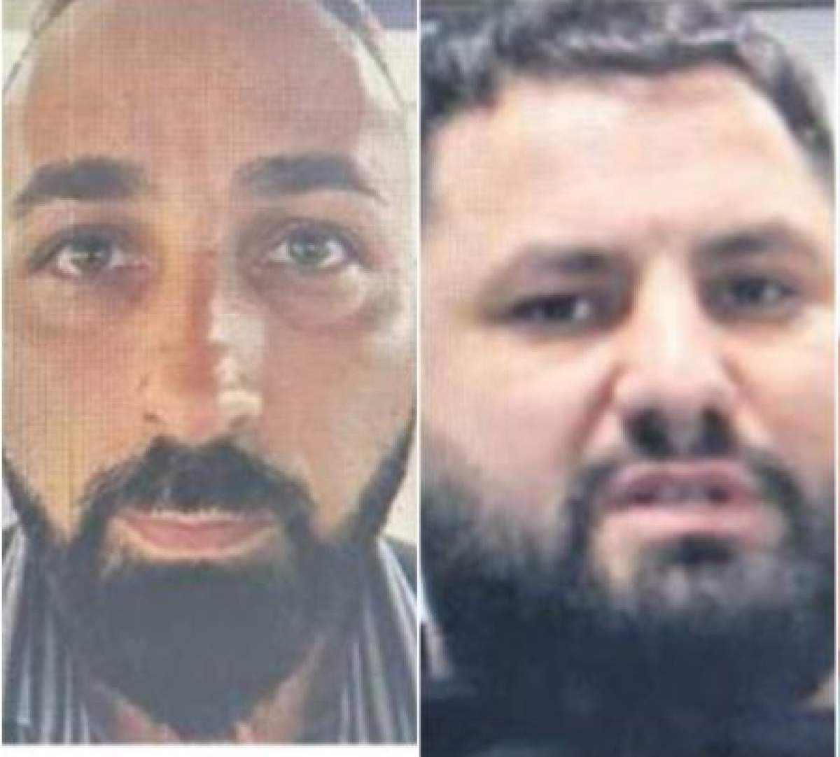 Colaj agresori youtuber din Italia