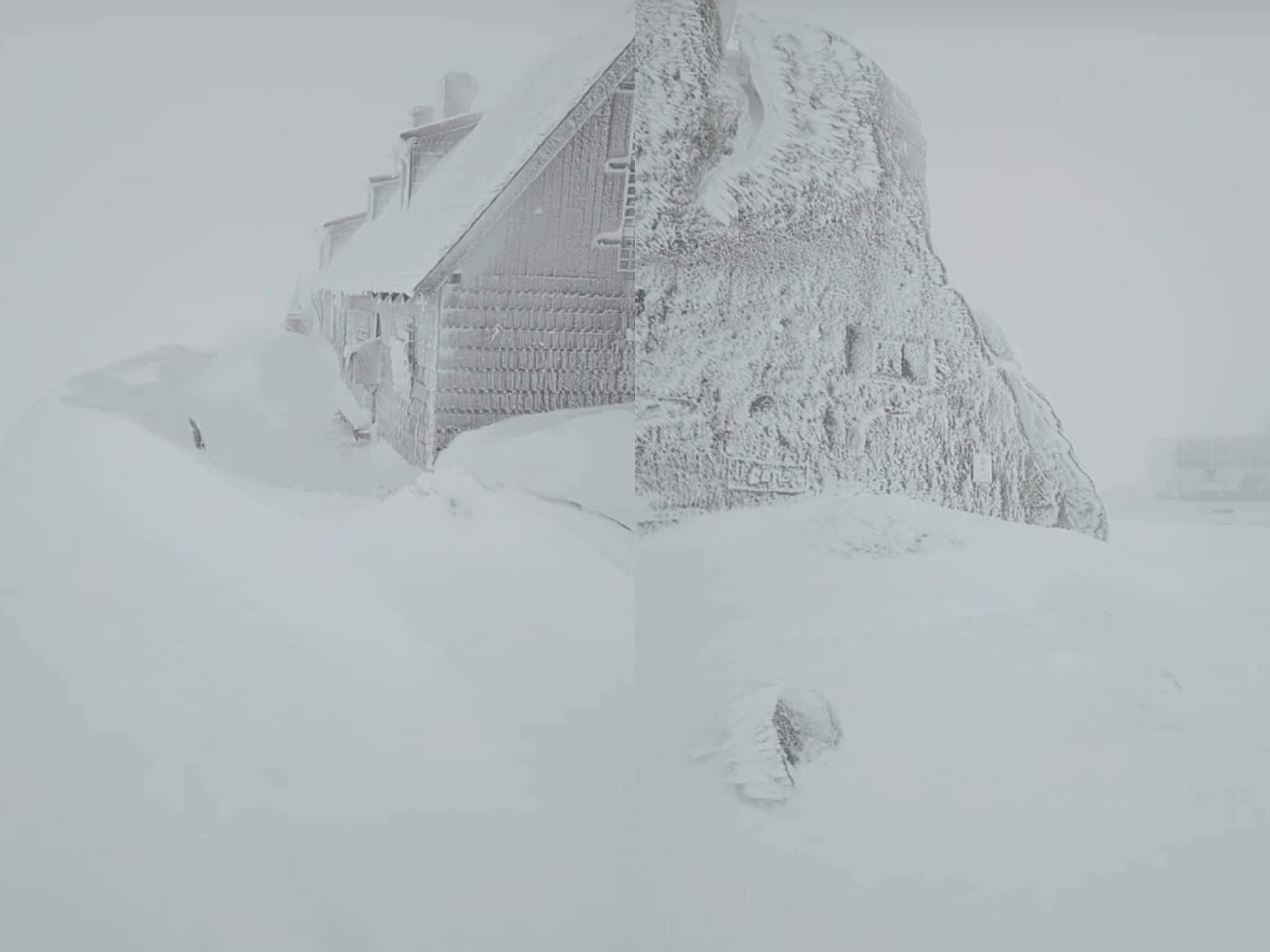 zăpadă pe Vârful Omu