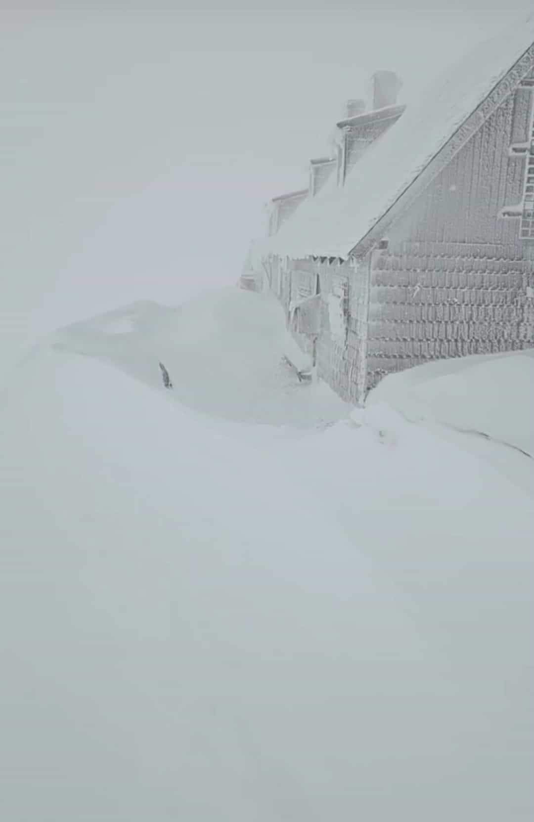 zăpadă pe Vârful Omu