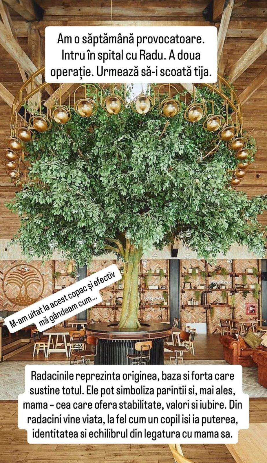 Săptămână grea pentru Tily Niculae. Radu, fiul actriței, va ajunge pe masa de operație pentru a doua oară