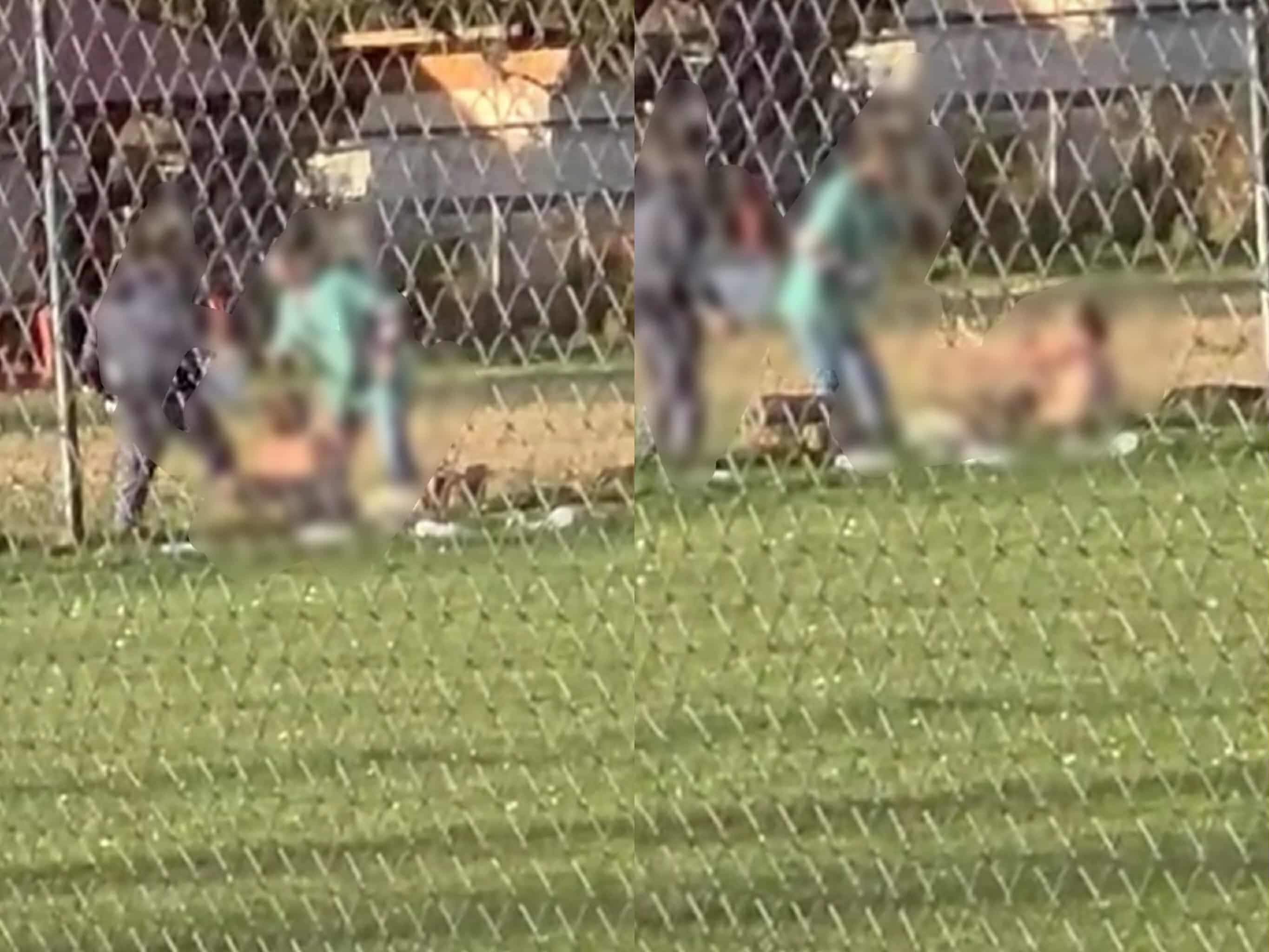 bătaie la centru în Bihor