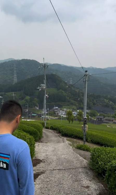 O influenceriță de top din România lucrează pe plantație, în Japonia! Cum a ajuns să facă asta