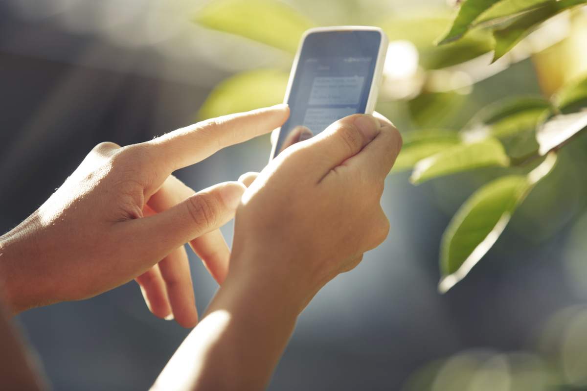 o persoană cu un telefon în mână