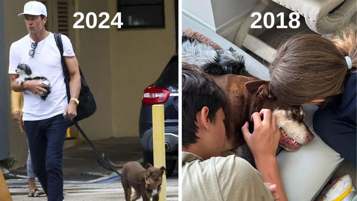 Tom Brady, dezvăluire șocantă! Și-a clonat câinele decedat în 2023