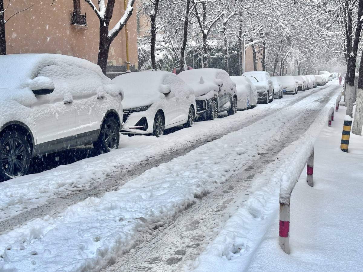 mașini acoperite de zăpadă