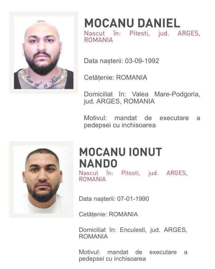 dani si nando mocanu