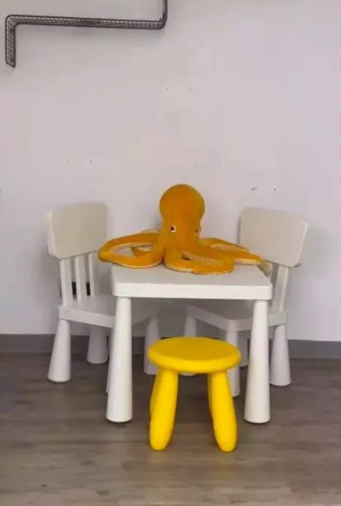 Cum și-a amenajat Liviu Vârciu casa de vacanță din Poiana Brașov. Imagini din proprietatea pe care o deține artistul la munte