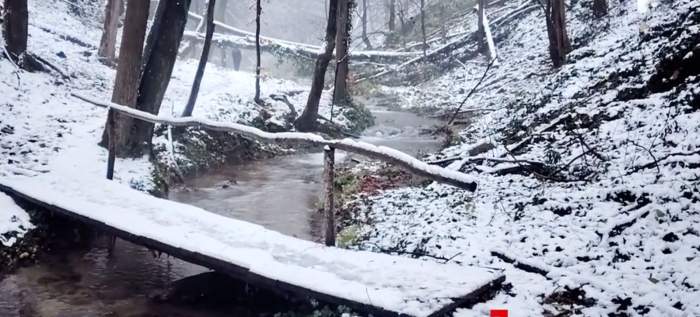 Ninsori în Bucegi și Banat