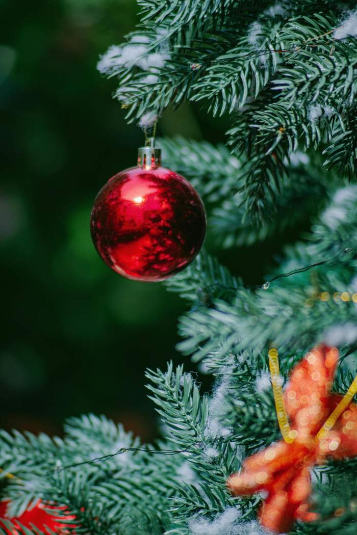Un glob în brad