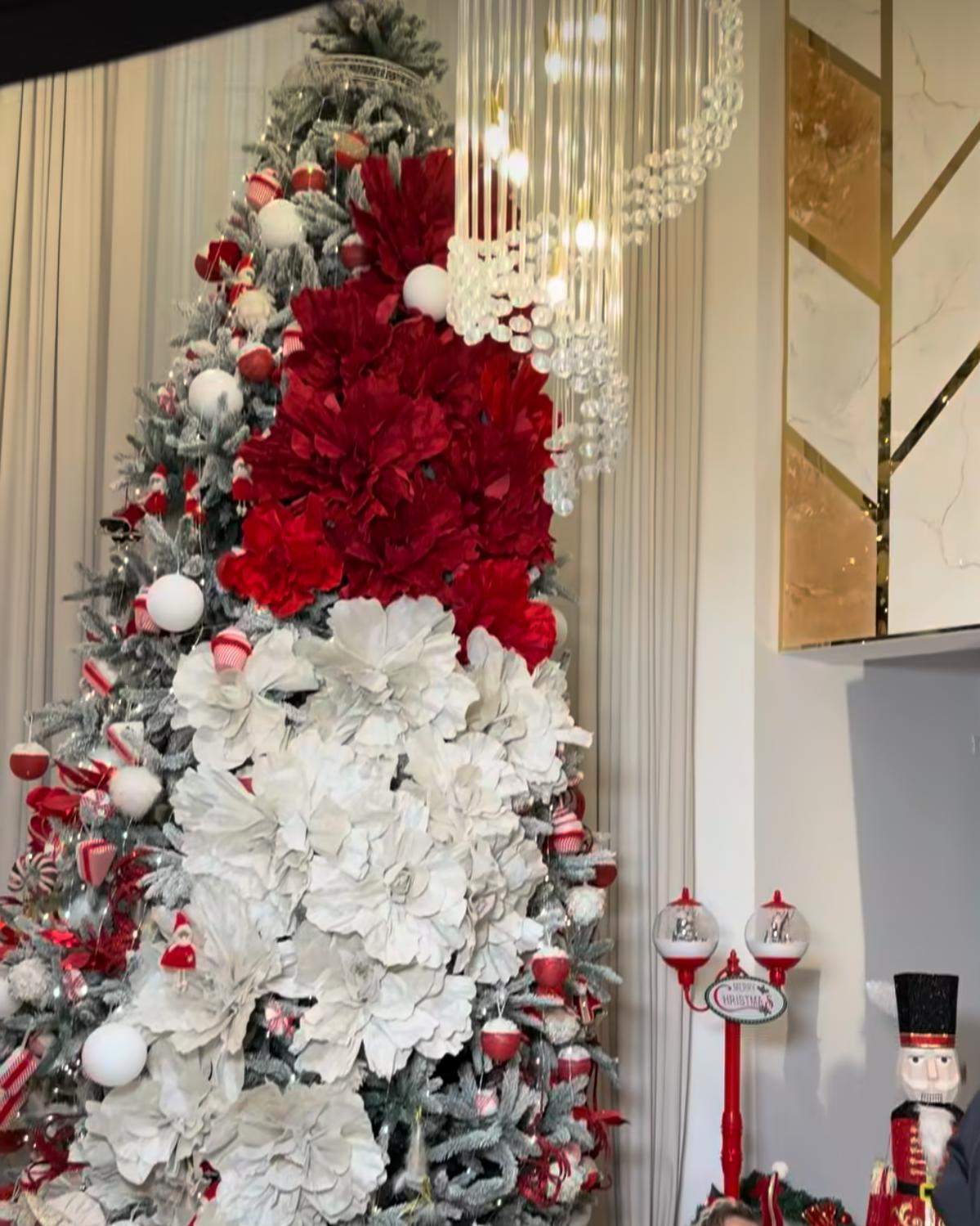 Bradul lui Costel Biju