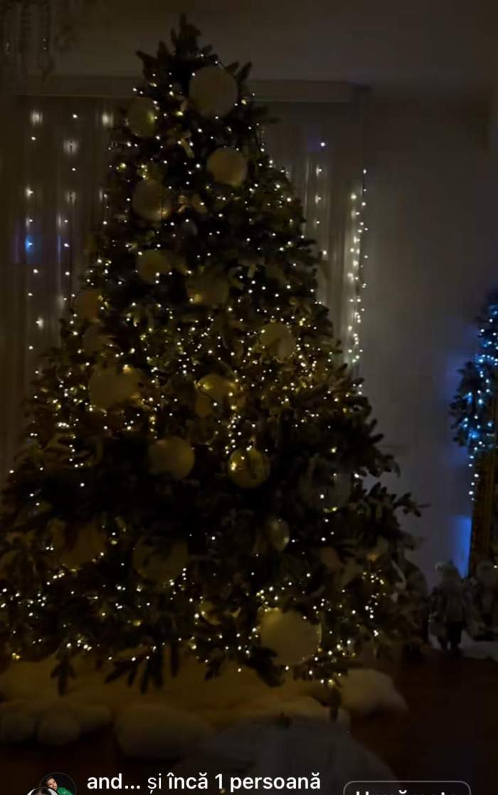 Așa arată bradul Andrei Volos