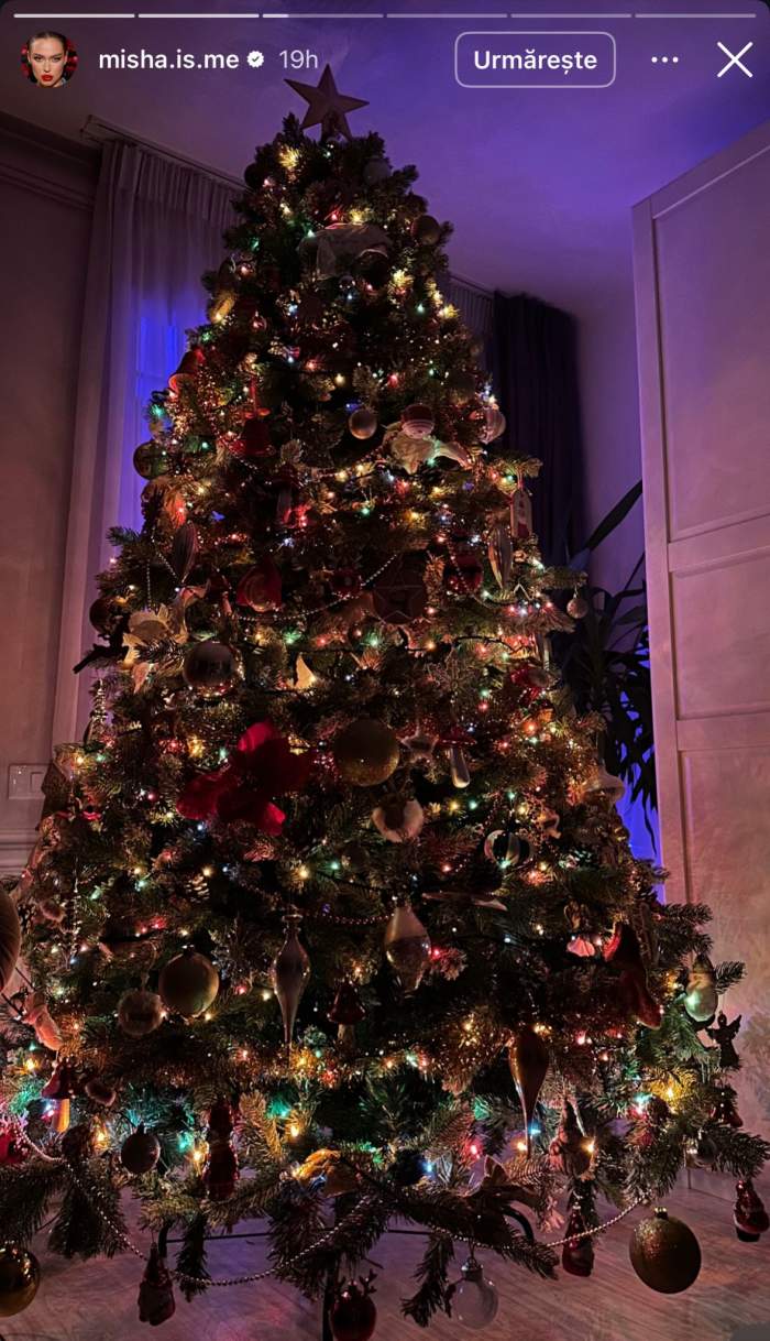 Bradul Mishei pentru Crăciun