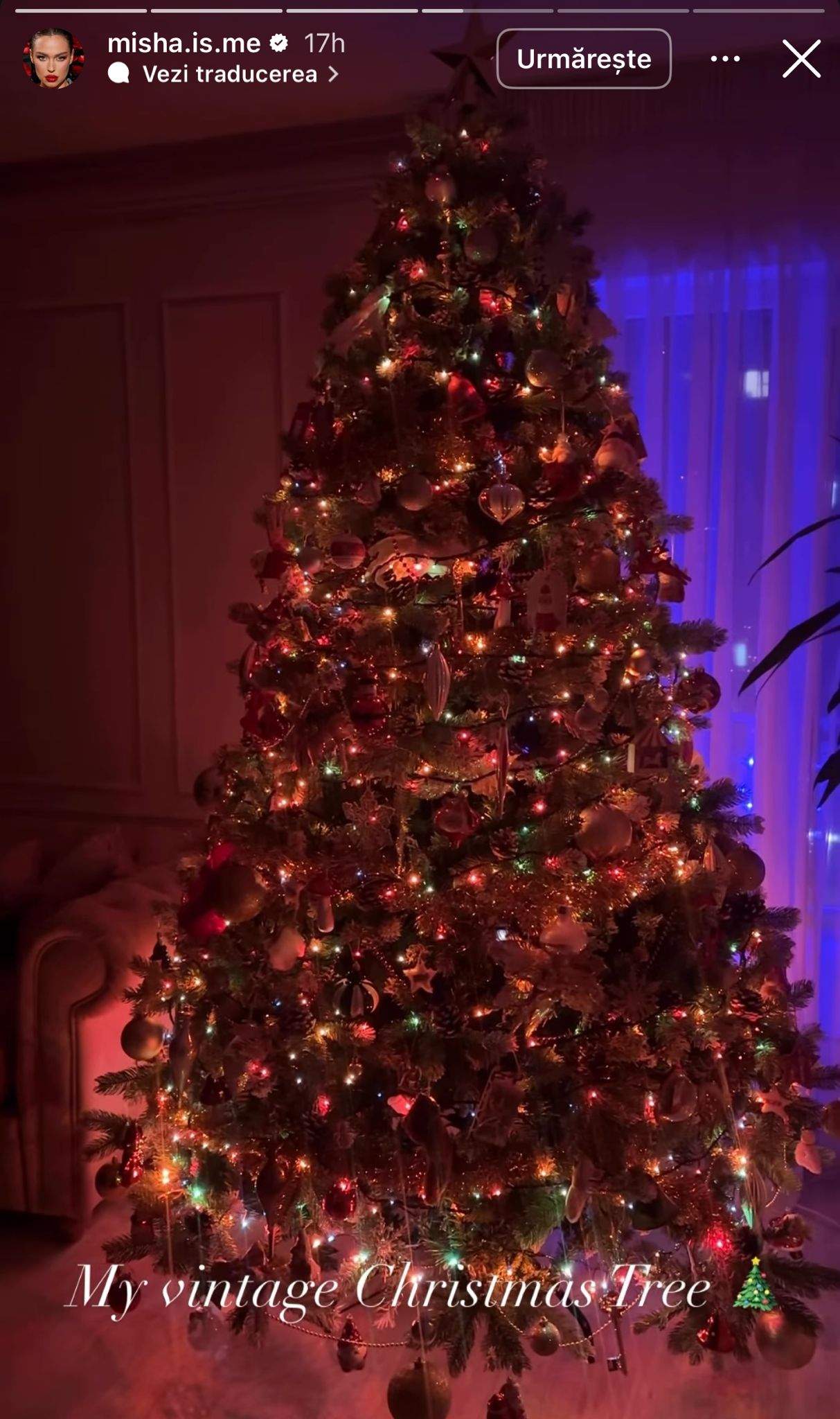 Misha și-a împodobit bradul