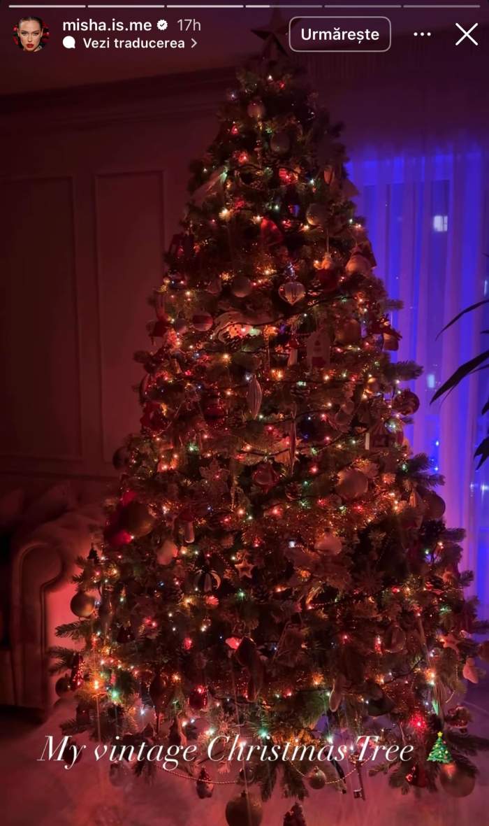 Misha și-a împodobit bradul