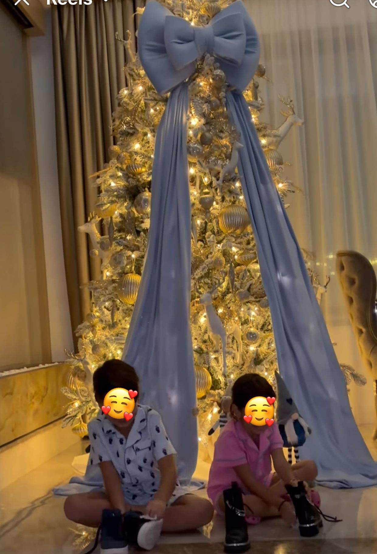 Bradul lui Ionuț Cercel