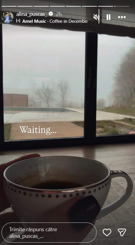 alina puscas casa
