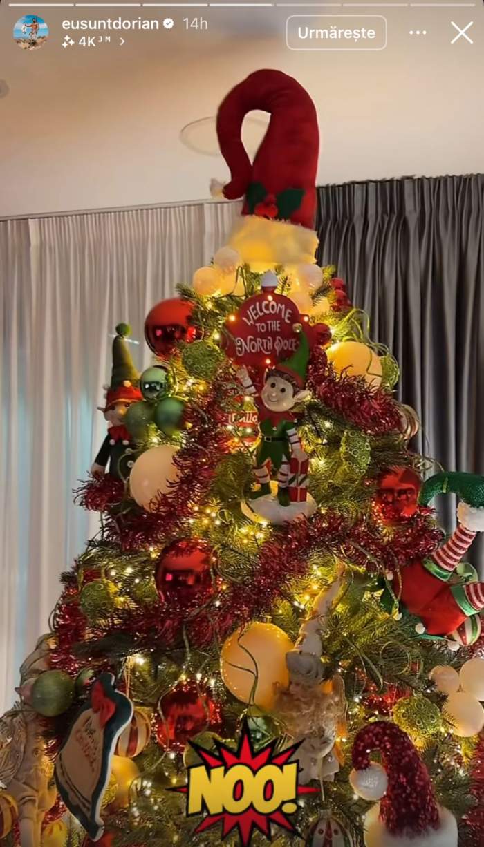 Bradul lui Dorian Popa