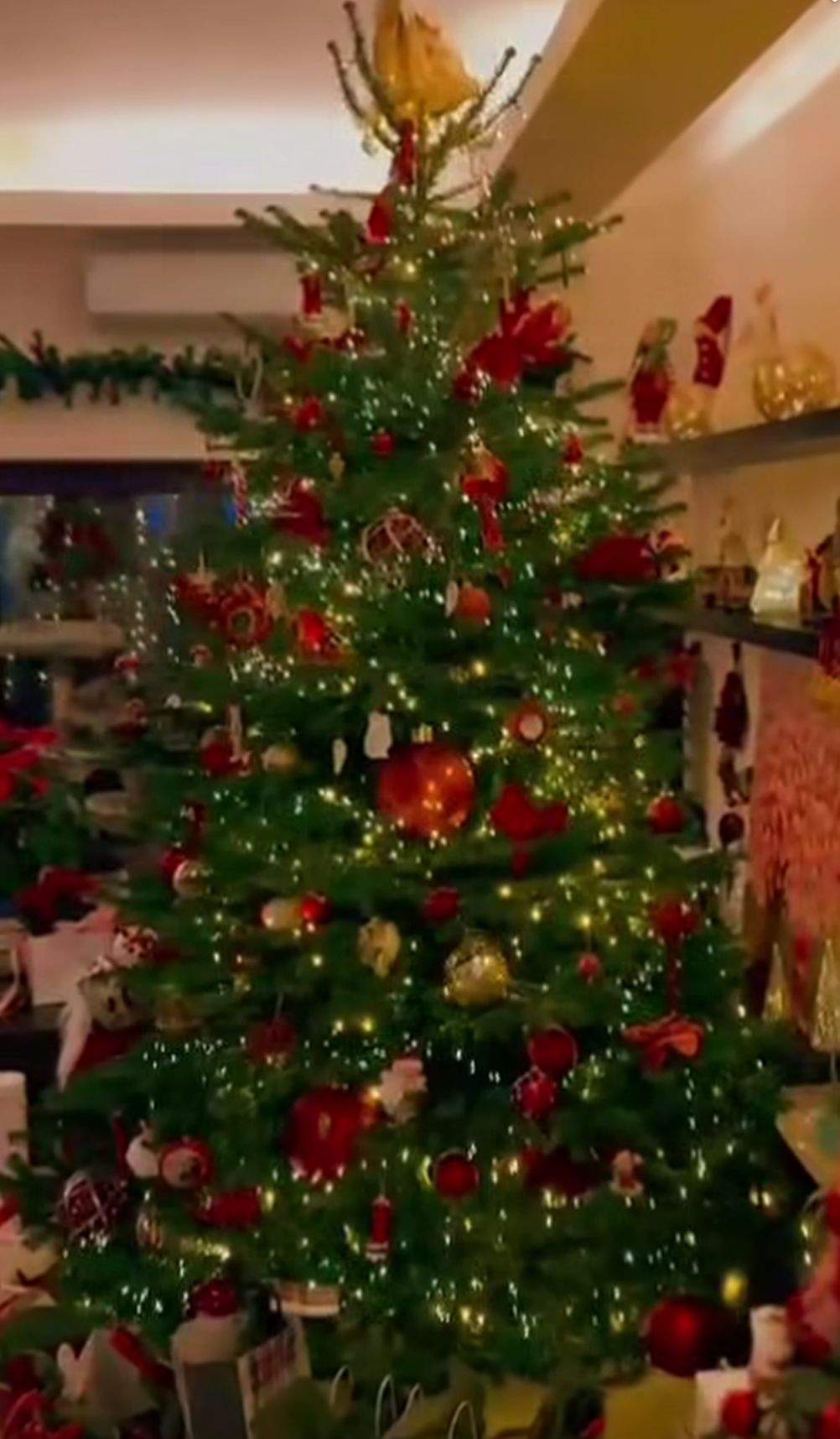 Bradul Ruxandrei Ion