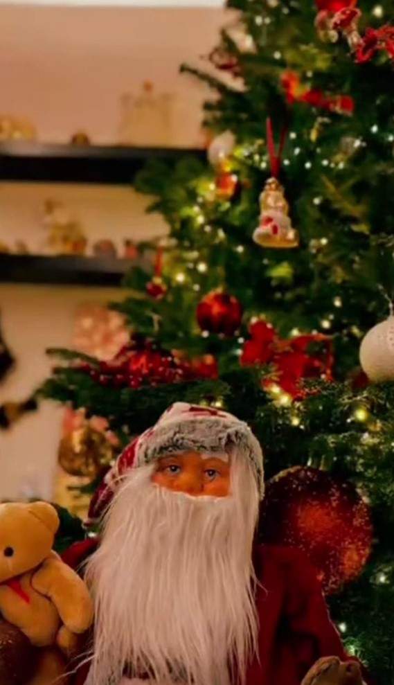 Decorațiunile Ruxandrei Ion