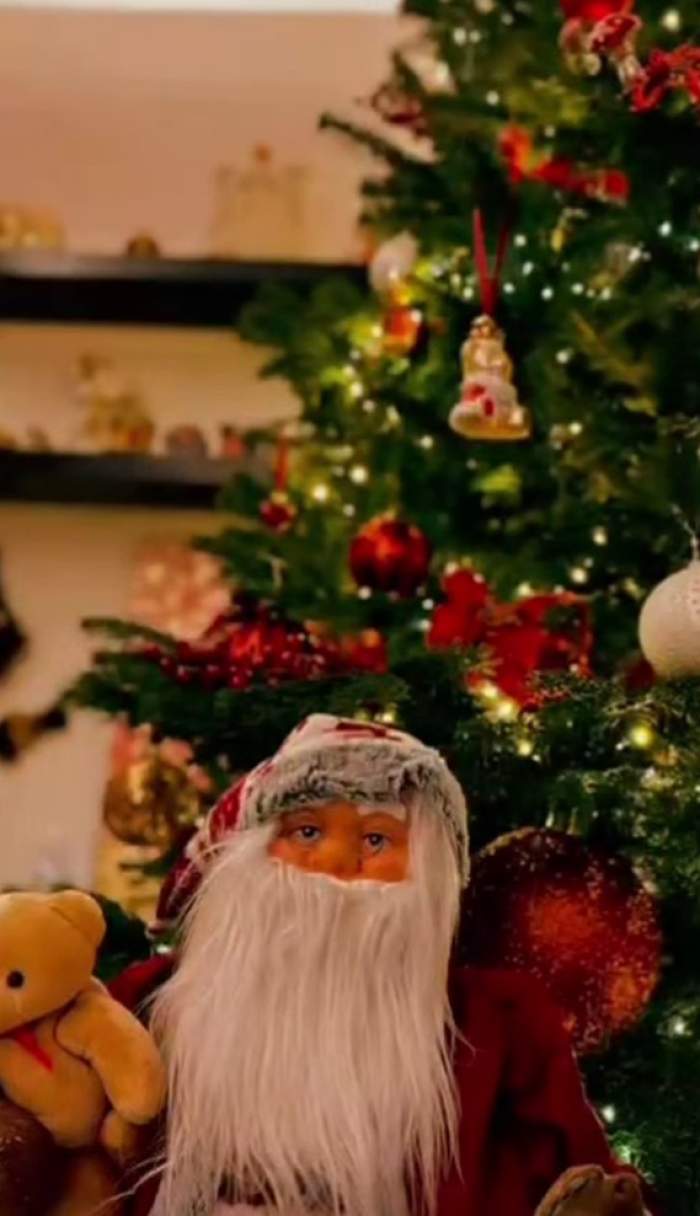 Decorațiunile Ruxandrei Ion