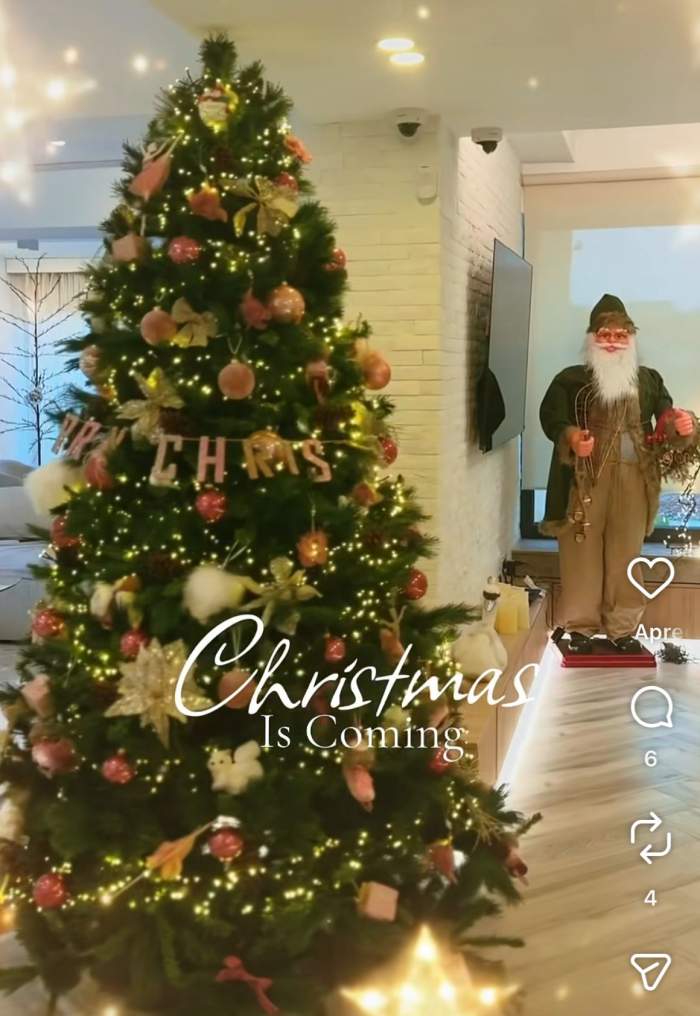 Andreea Bănică a împodobit bradul de Crăciun! Decorațiunea care atrage toate privirile