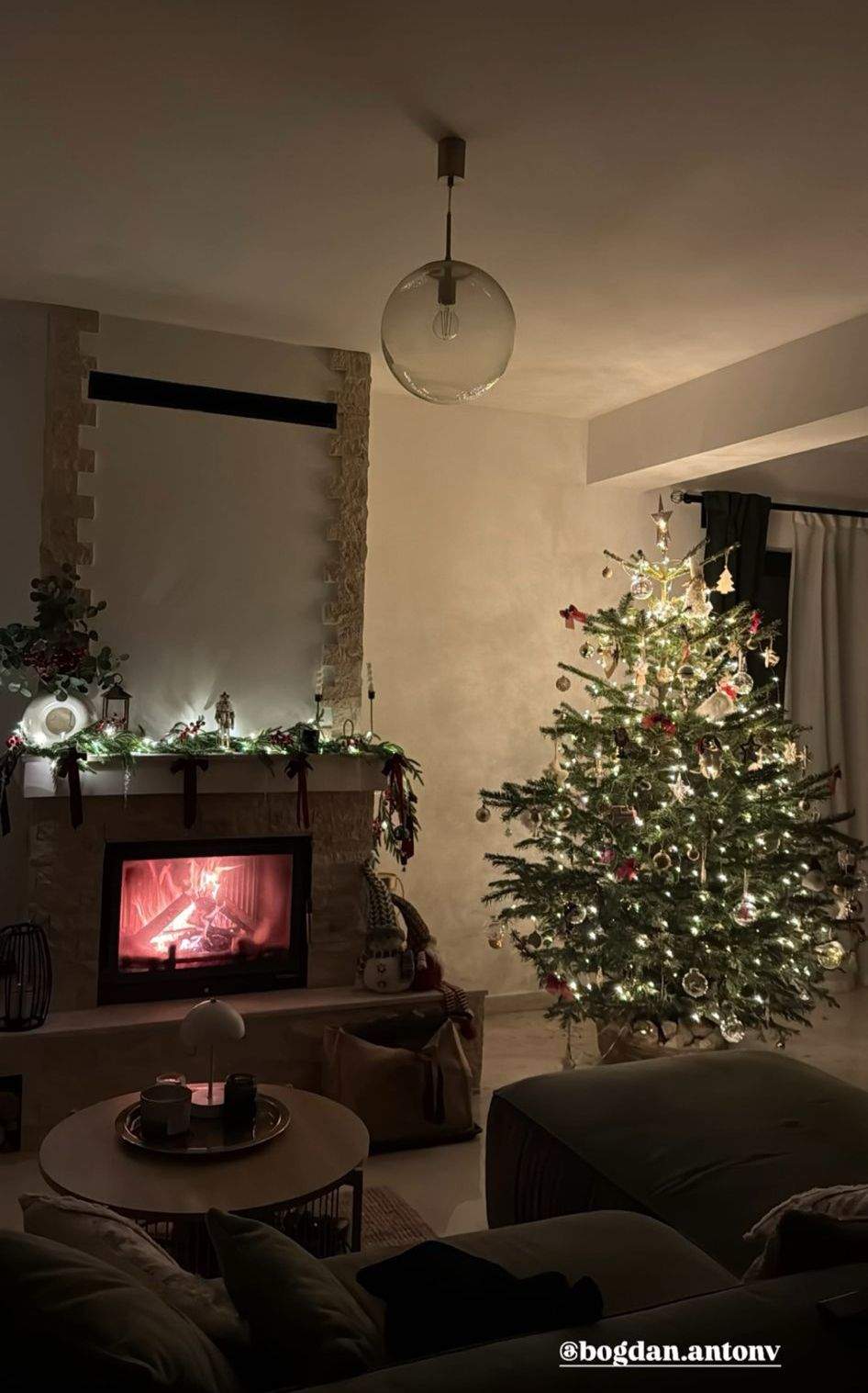 Bradul Nicoletei Nucă