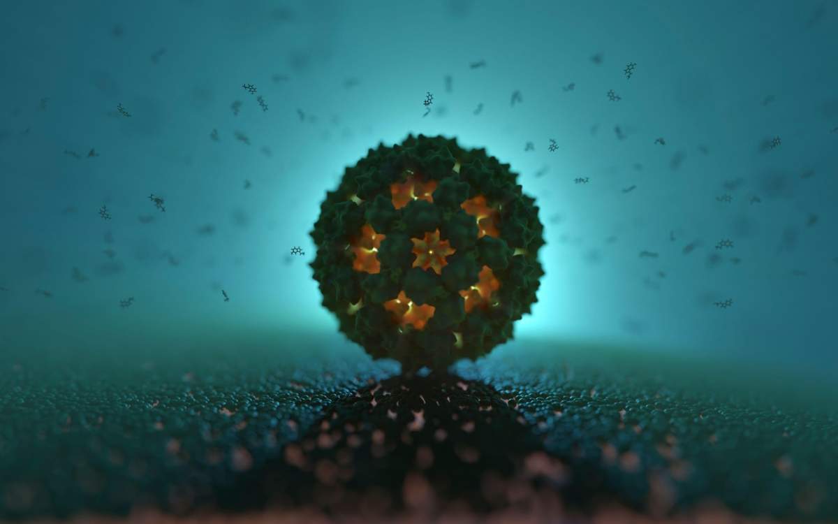 Norovirus