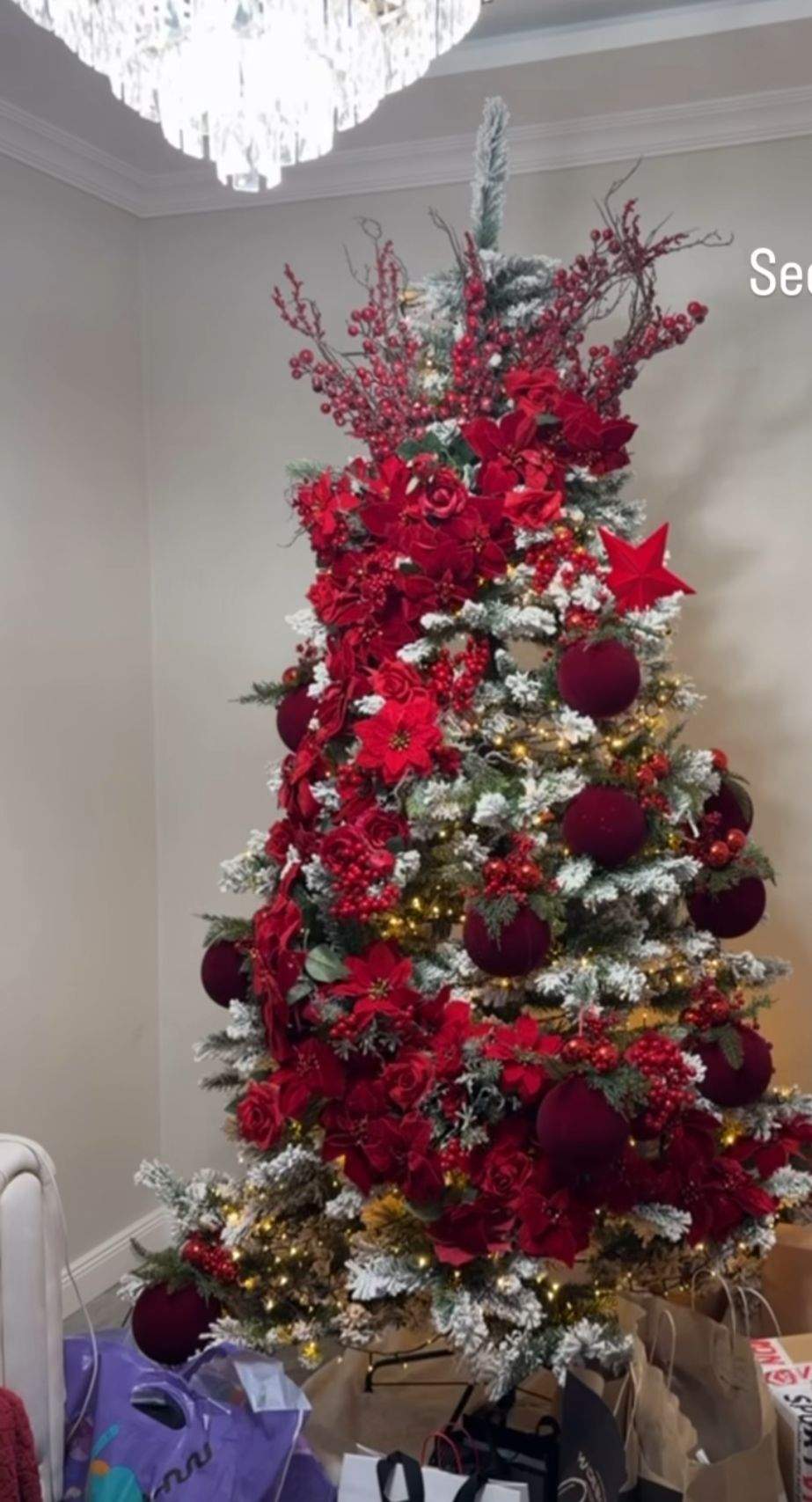 Bradul Cristinei Pucean