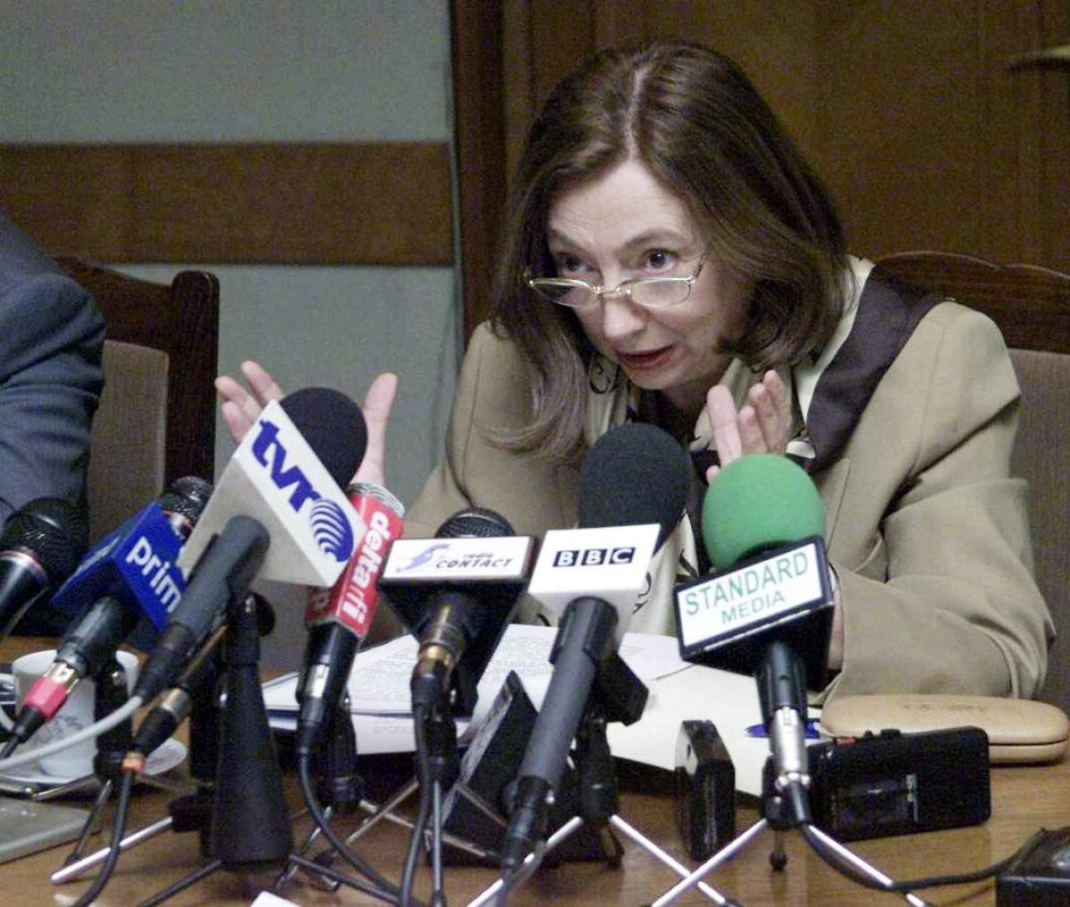 Rodica Stănoiu, la o conferință de presă