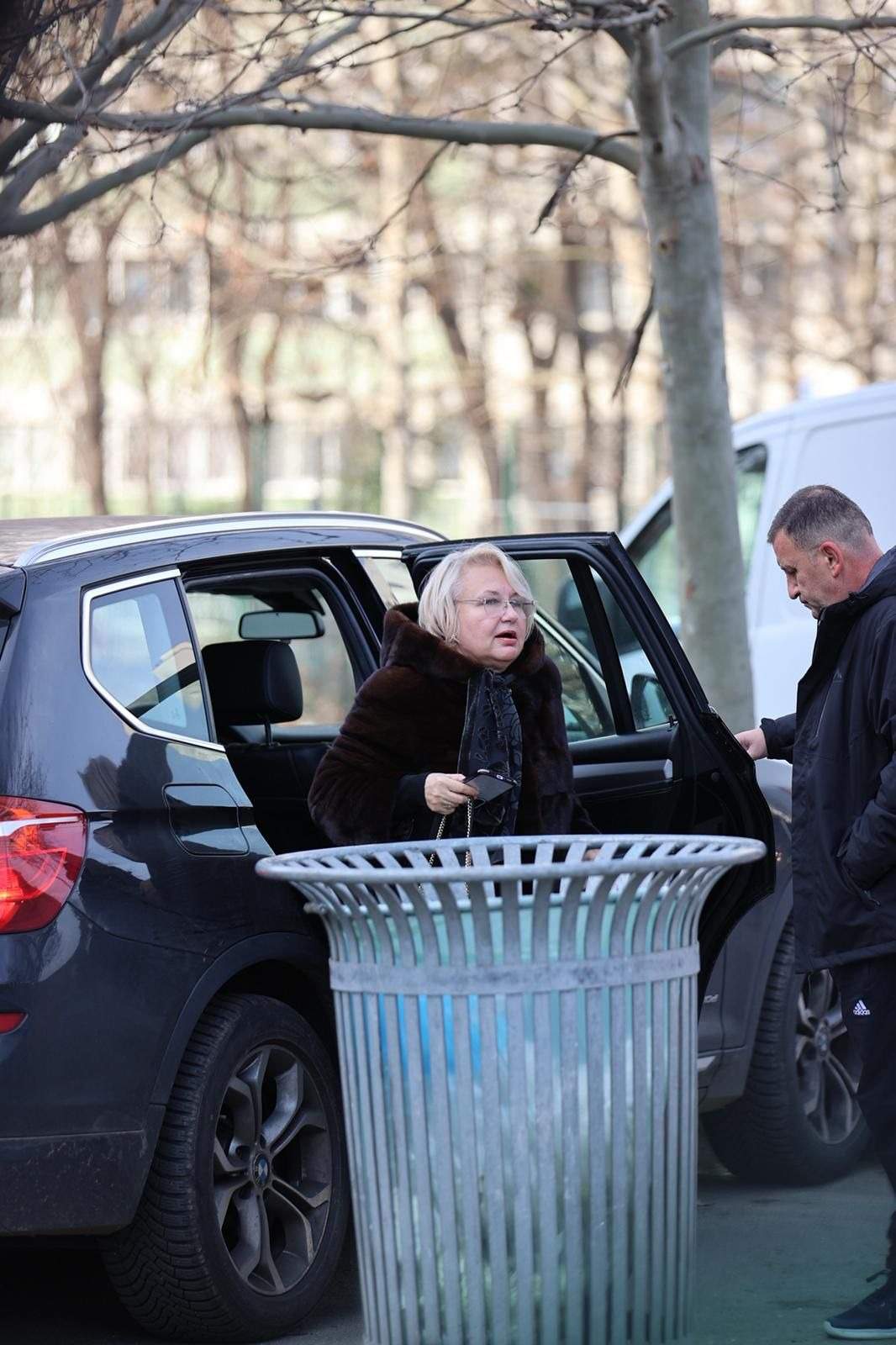 Nepoata Rodicăi Stănoiu