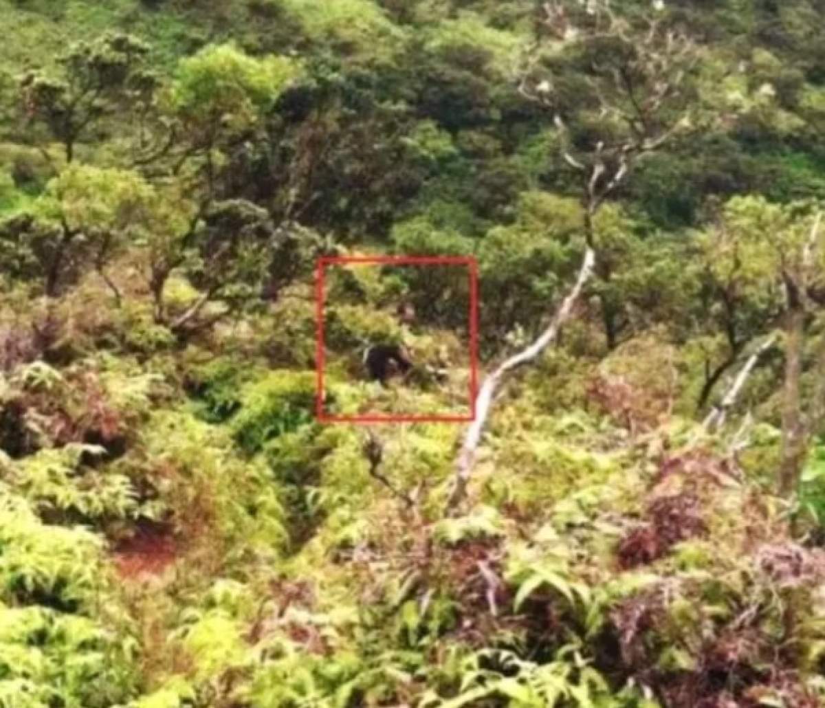 Imaginea misterioasă din telefonul său