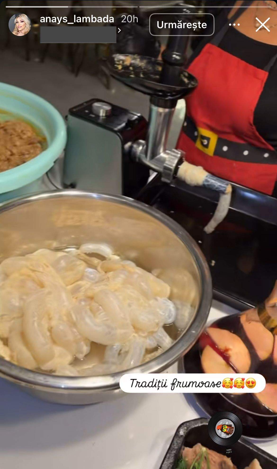 Ce a pus pe Internet Lambada