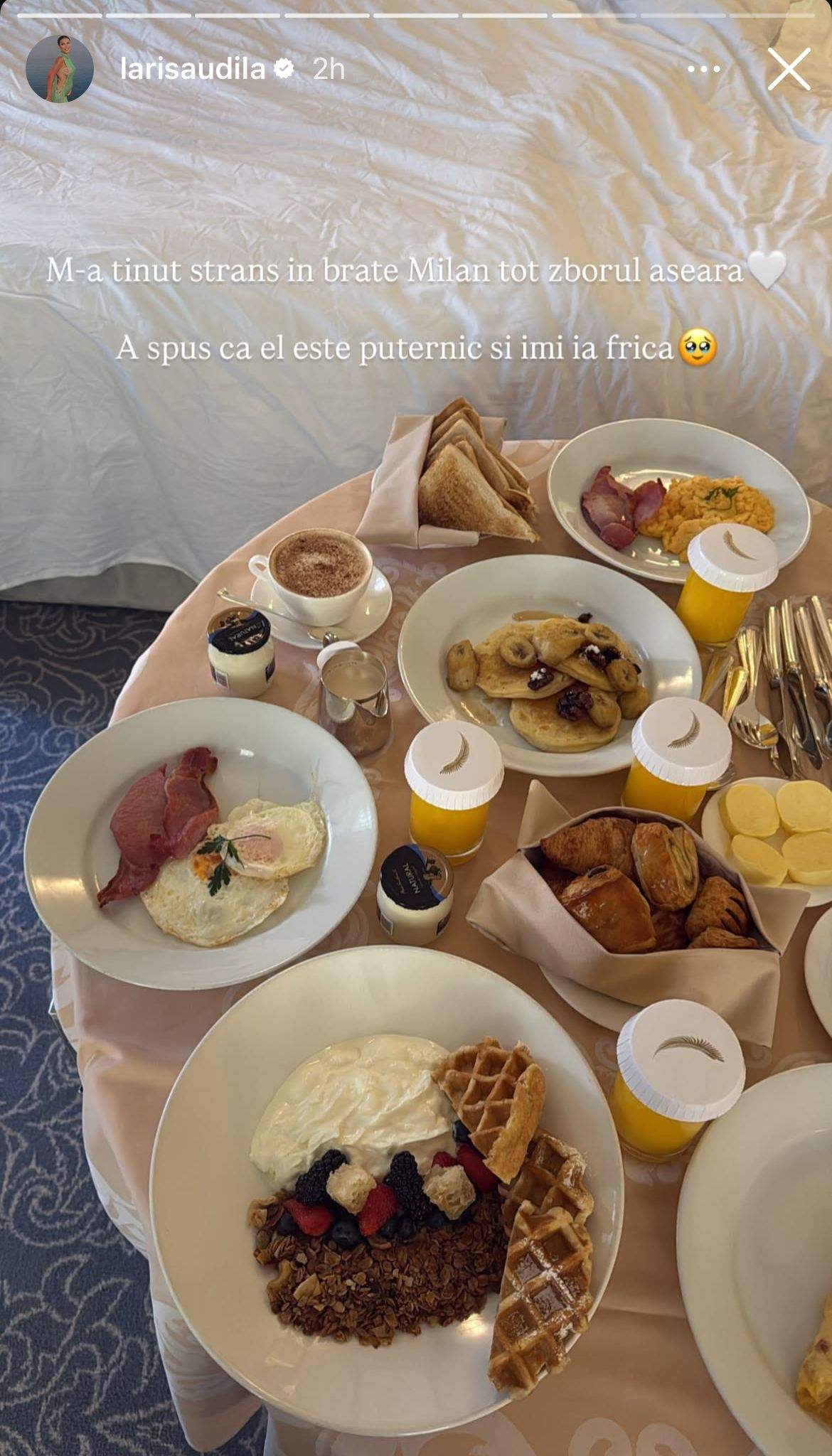 Postarea publicată de Larisa Udilă