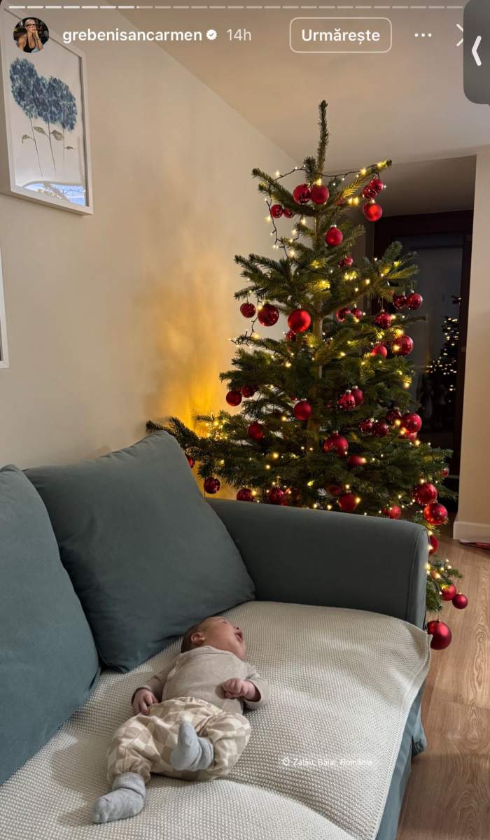 Bradul familiei iubitului lui Carmen Grebenișan