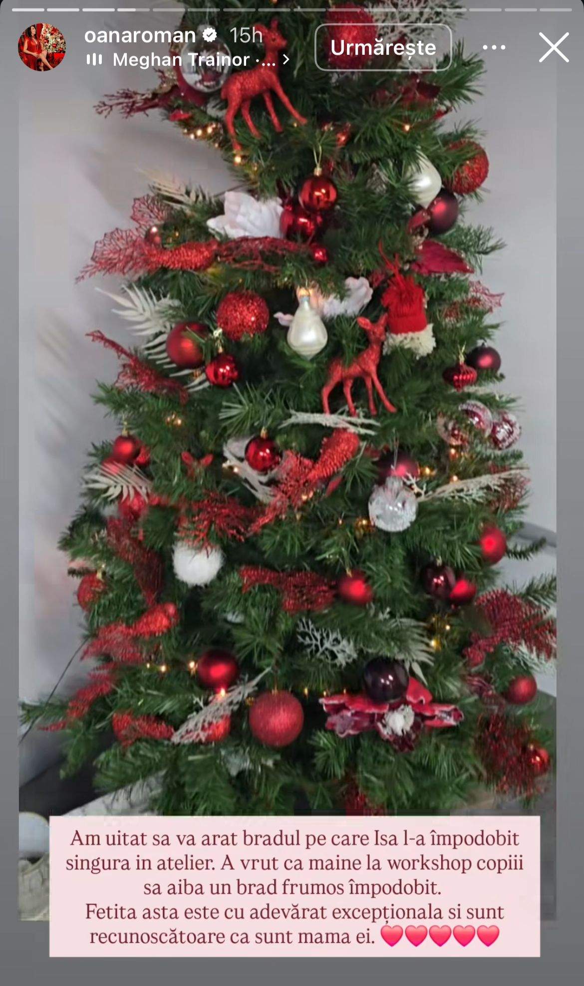 Bradul împodobit de Isa