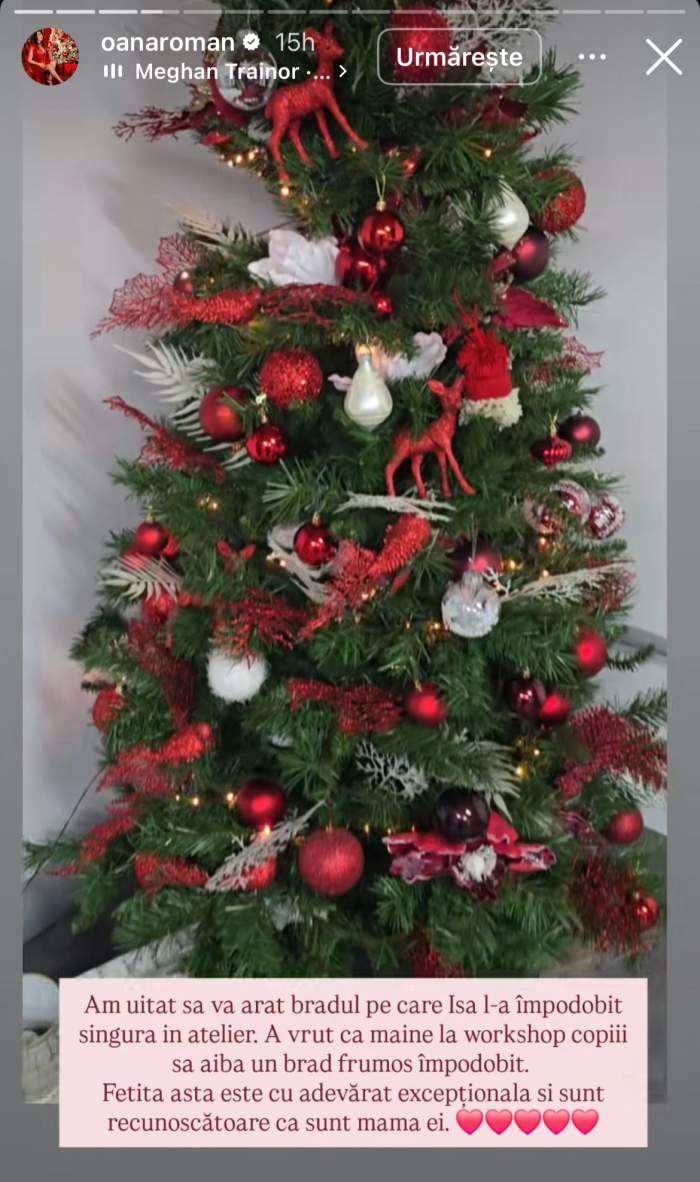 Bradul împodobit de Isa