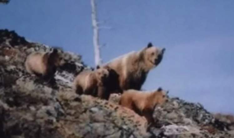 Imaginea surprinsă de bărbat, înainte să moară