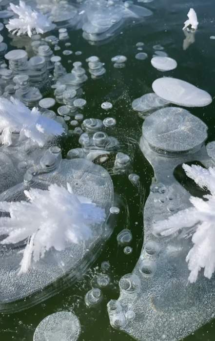 Imagini spectaculoase cu bule de apă înghețate! Un fotograf a surprins fenomenul natural uimitor