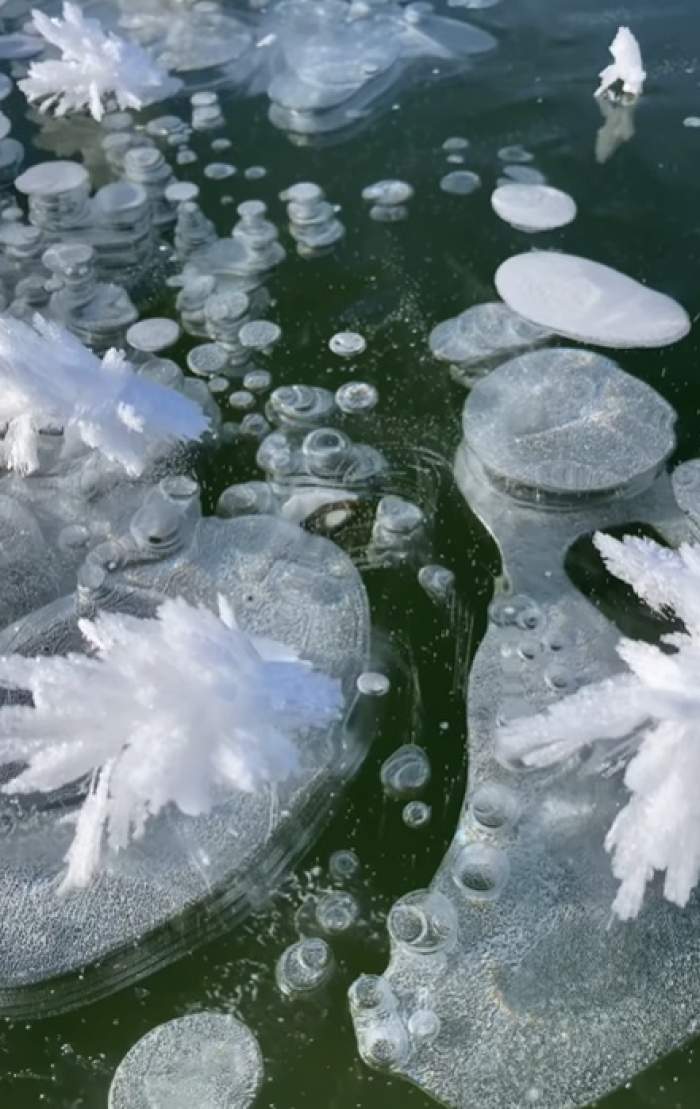 Imagini spectaculoase cu bule de apă înghețate! Un fotograf a surprins fenomenul natural uimitor