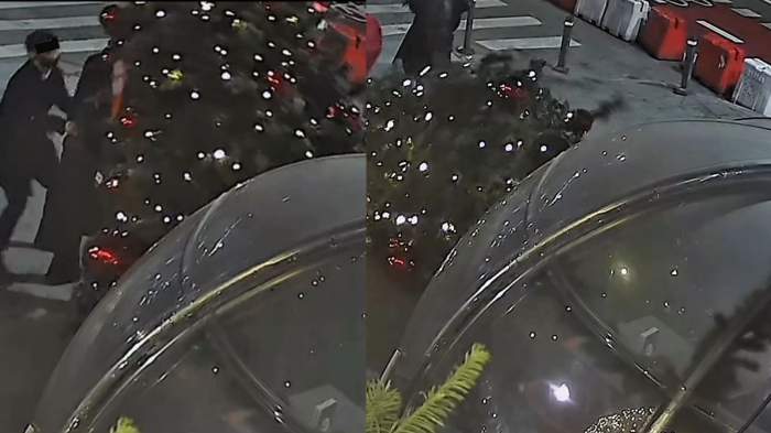 Colaj foto hoți brad