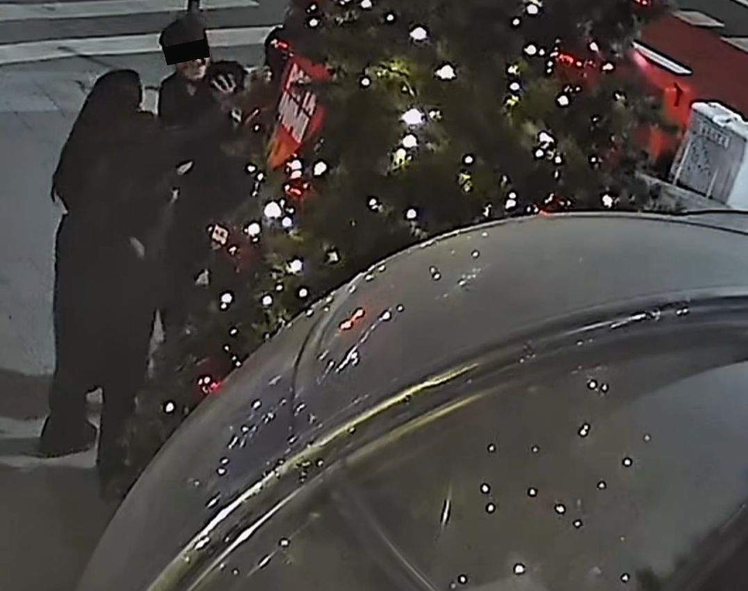 Foto cu persoanele care au încercat să fure un brad