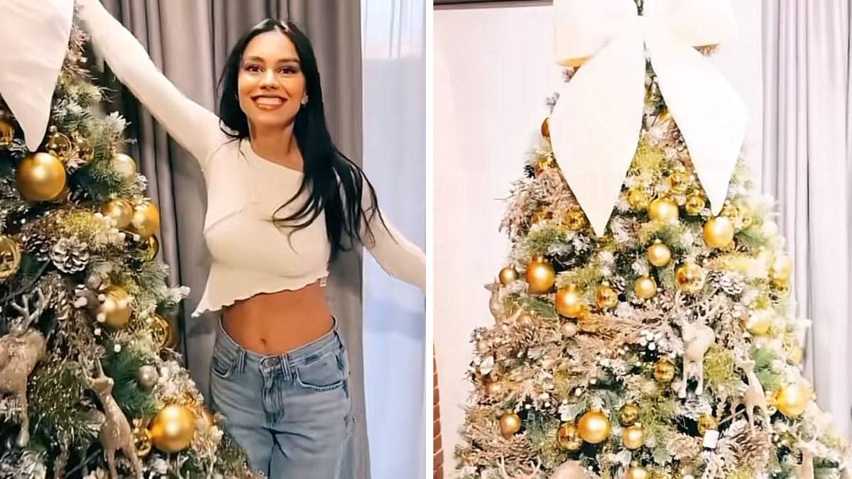 Colaj Mira și bradul ei