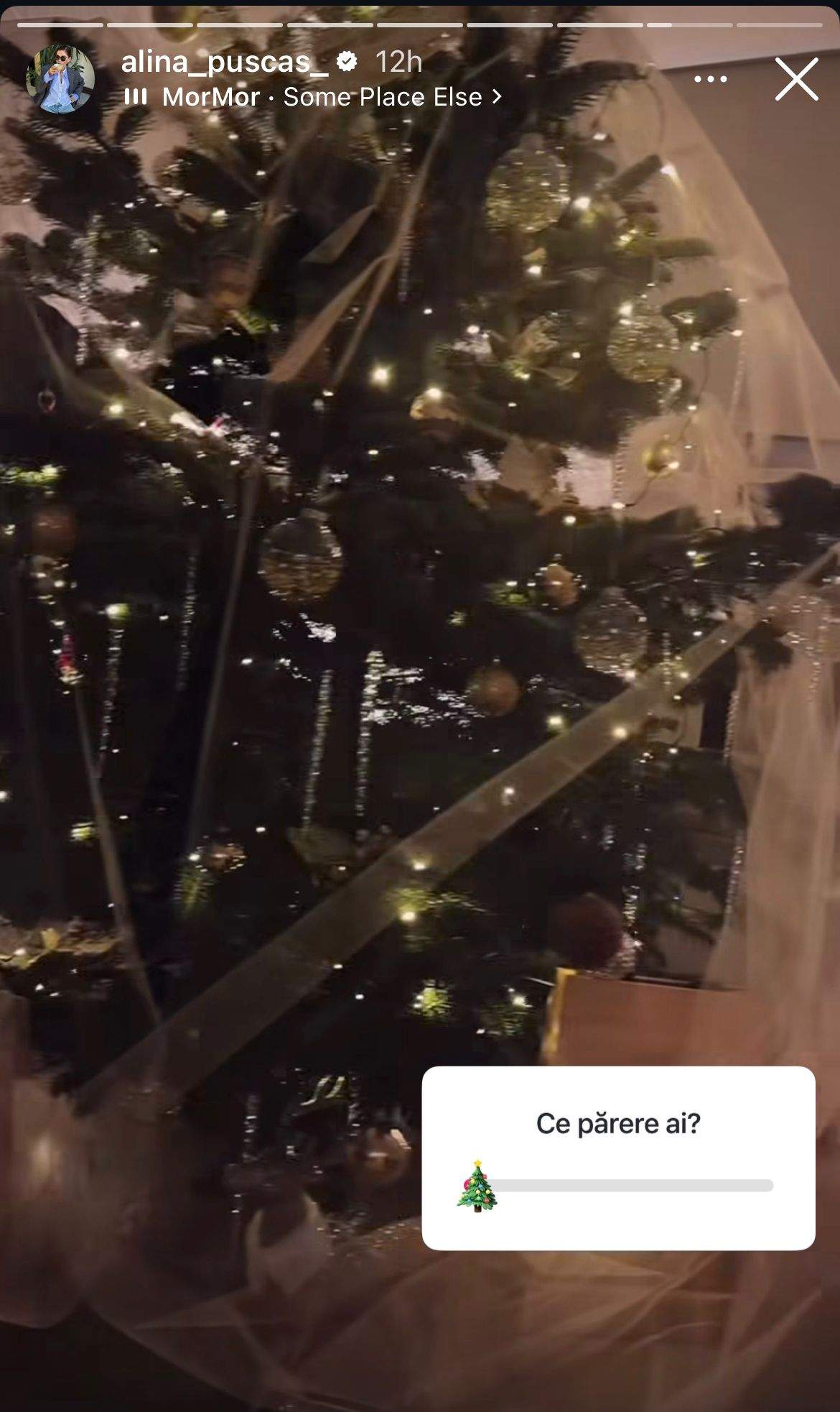 Bradul Alinei Pușcaș