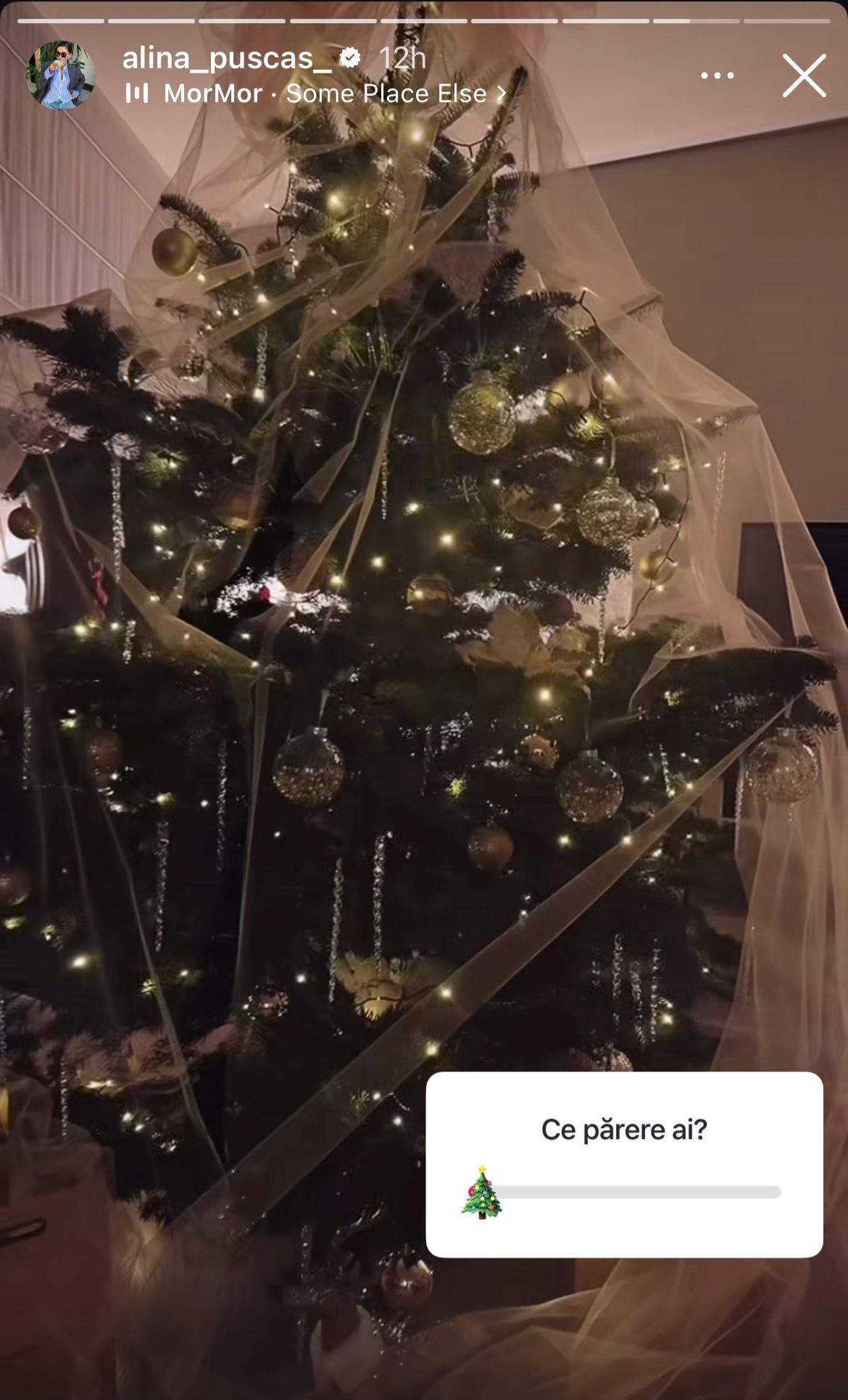 Bradul de Crăciun al Alinei Pușcaș