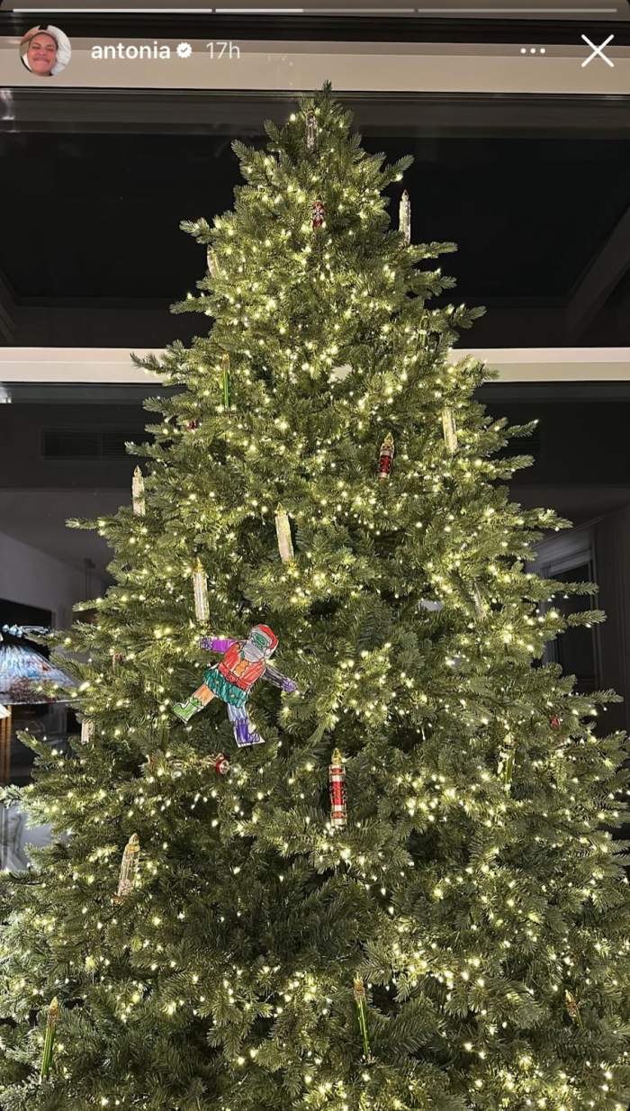 Bradul Antoniei și al lui Alex Velea