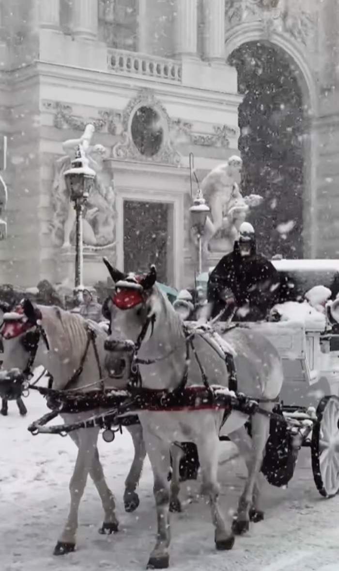 Primul Crăciun cu zăpadă după 28 de ani, în Viena. Atmosferă de poveste în capitala Austriei